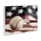 Stupell Industries Baseball & American Flag Wall Plaque Art